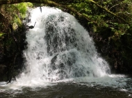 Ruta: fervenzas da Rexedoira (Río Mendo)